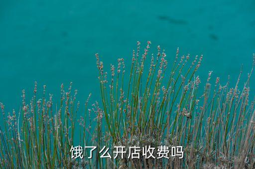 饿了么非品牌加盟费用多少