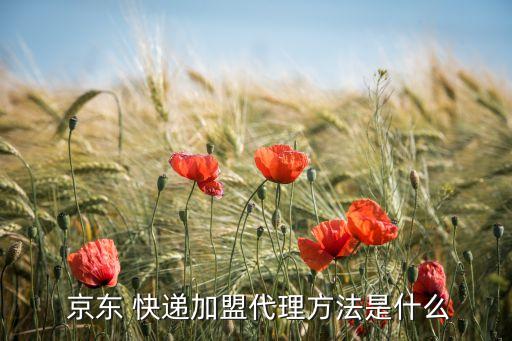  京东 快递加盟代理方法是什么