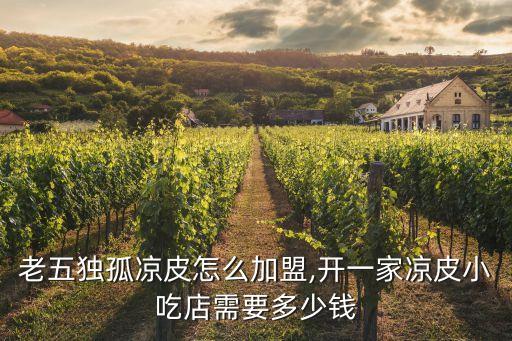 老五独孤凉皮怎么加盟,开一家凉皮小吃店需要多少钱