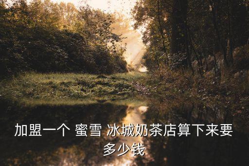 滕州蜜雪冰城加盟费用,蜜雪冰城加盟坑死人了