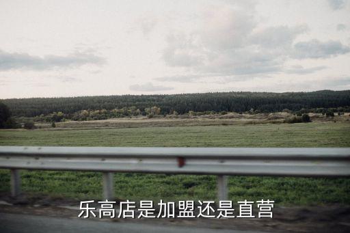  乐高店是加盟还是直营