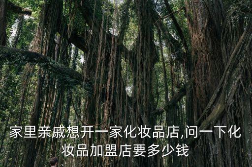 王世仁的面加盟费多少钱