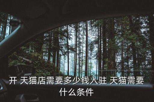 开 天猫店需要多少钱入驻 天猫需要什么条件