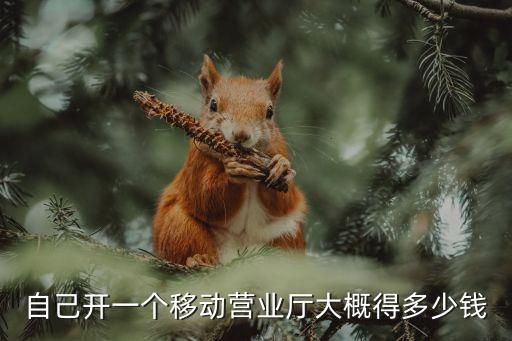 自己开一个移动营业厅大概得多少钱