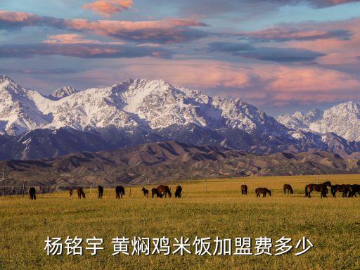 杨铭宇 黄焖鸡米饭加盟费多少