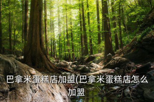 巴拿米蛋糕店加盟(巴拿米蛋糕店怎么加盟