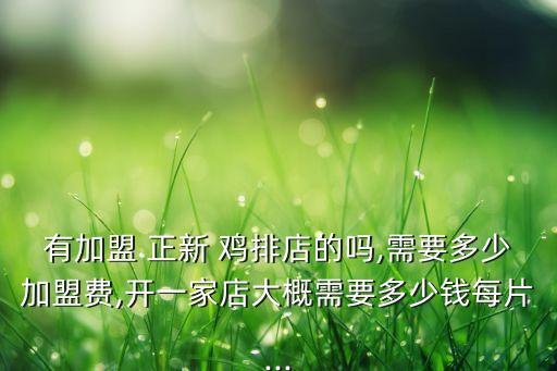 有加盟 正新 鸡排店的吗,需要多少加盟费,开一家店大概需要多少钱每片...