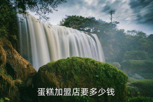蛋糕加盟店要多少钱