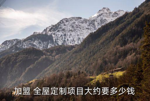 加盟 全屋定制项目大约要多少钱