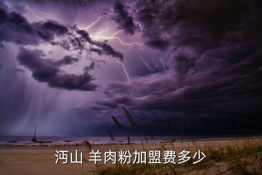 沔山 羊肉粉加盟费多少