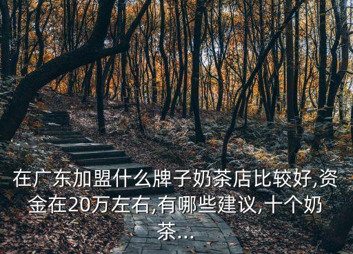 在广东加盟什么牌子奶茶店比较好,资金在20万左右,有哪些建议,十个奶茶...