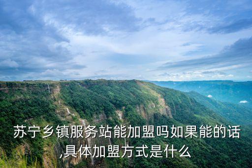  苏宁乡镇服务站能加盟吗如果能的话,具体加盟方式是什么