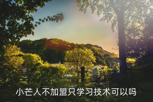 小芒人不加盟只学习技术可以吗