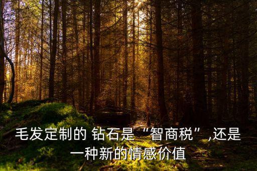 头发培育钻石加盟费用,钻石用头发培育带来生命价值