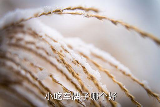 流动小吃餐车加盟费多少,流动餐车图片及价格 小吃
