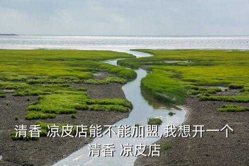 清香 凉皮店能不能加盟,我想开一个清香 凉皮店