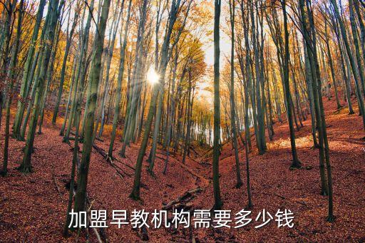 加盟早教机构需要多少钱
