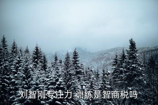 刘智刚专注力 训练是智商税吗