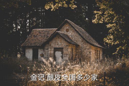 金记 酿皮全国多少家