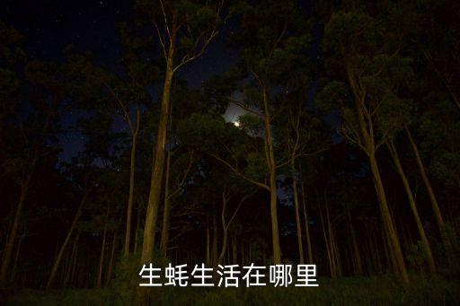 生蚝生活在哪里