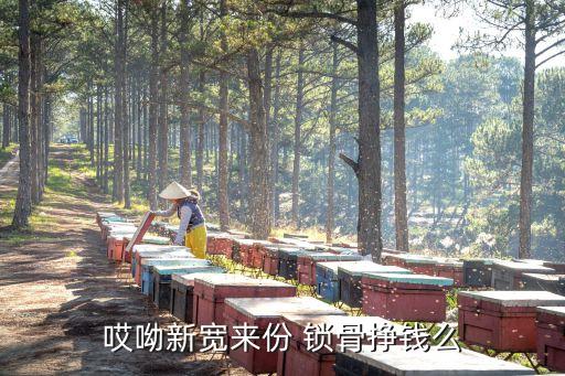 哎呦新宽来份 锁骨挣钱么