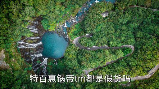  特百惠锅带tm都是假货吗