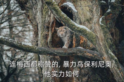 连梅西都称赞的, 暴力鸟保利尼奥,他实力如何