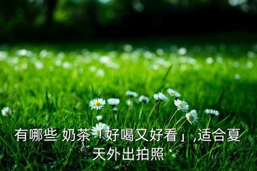 圆真真奶茶加盟费多少,coco奶茶加盟费多少