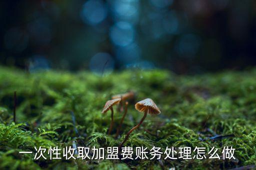 加盟费的会计政策