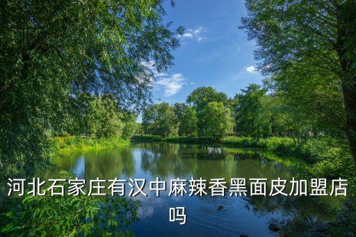 河北石家庄有汉中麻辣香黑面皮加盟店吗