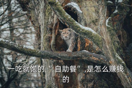 一吃就饱的“ 自助餐”,是怎么赚钱的