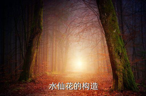  水仙花的构造