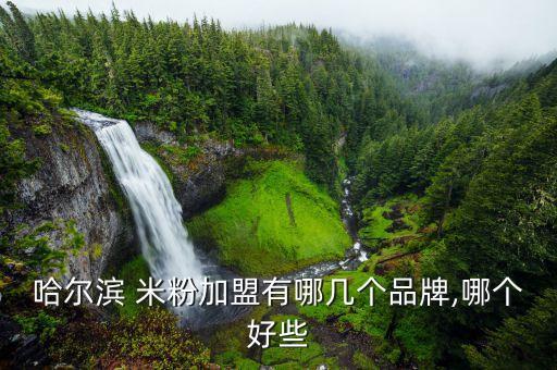 哈尔滨 米粉加盟有哪几个品牌,哪个好些