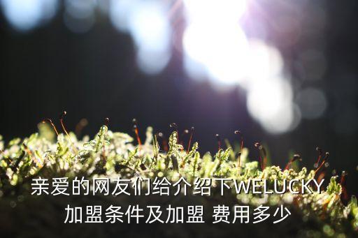 亲爱的网友们给介绍下WELUCKY加盟条件及加盟 费用多少