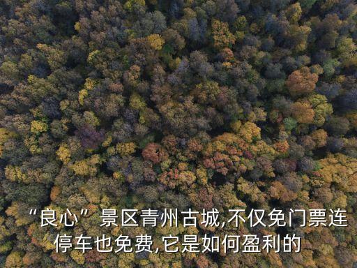“良心”景区青州古城,不仅免门票连停车也免费,它是如何盈利的