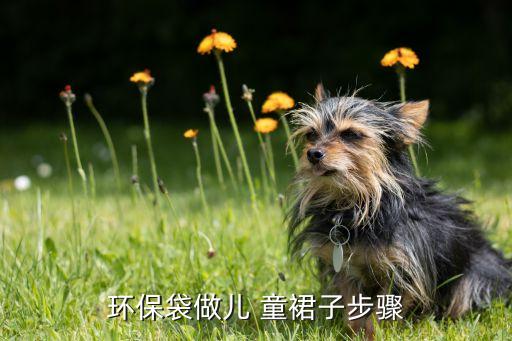 环保袋做儿 童裙子步骤
