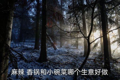 麻辣 香锅和小碗菜哪个生意好做