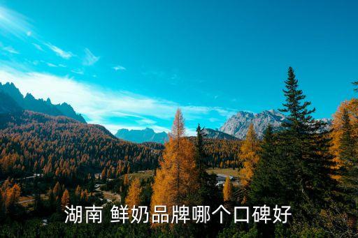 湖南 鲜奶品牌哪个口碑好