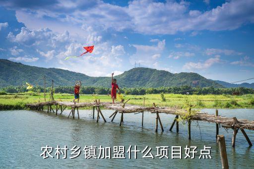农村乡镇加盟什么项目好点