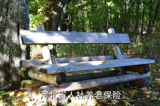  河北省人社养老保险