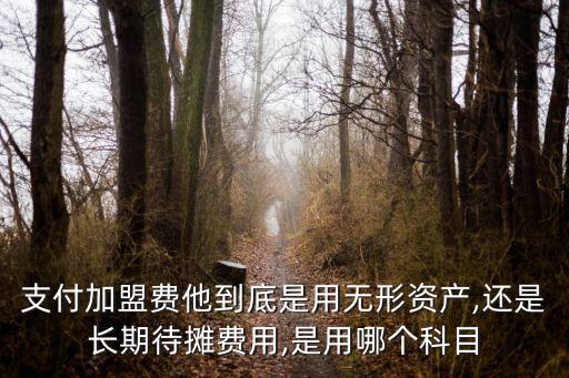 支付加盟费他到底是用无形资产,还是长期待摊费用,是用哪个科目