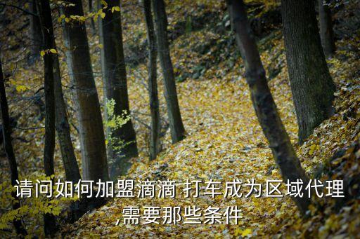 请问如何加盟滴滴 打车成为区域代理,需要那些条件