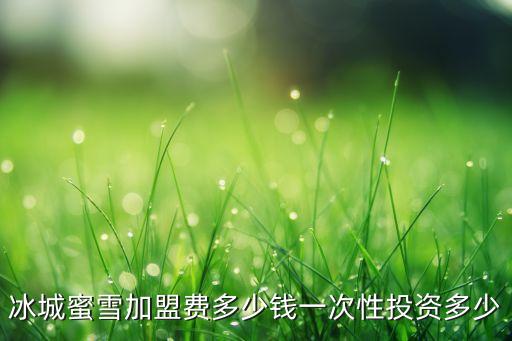 冰城蜜雪加盟费多少钱一次性投资多少