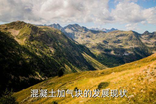  混凝土加气块的发展现状