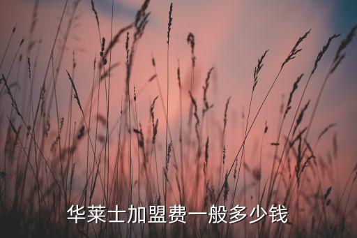 华莱士加盟费一般多少钱