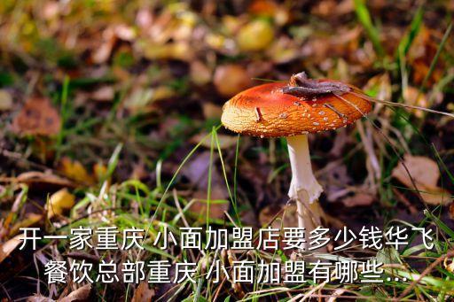 品牌小面加盟费多少,小面专家加盟费多少钱
