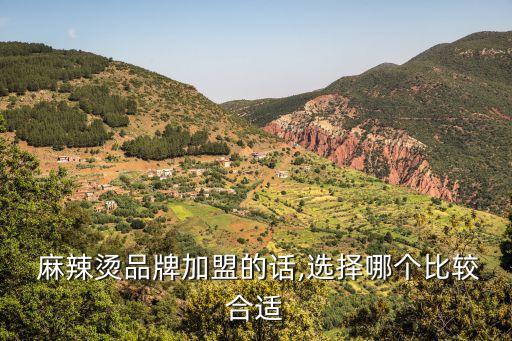  麻辣烫品牌加盟的话,选择哪个比较合适