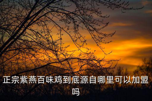 百燕紫味鸡加盟费,紫燕百味鸡怎么样