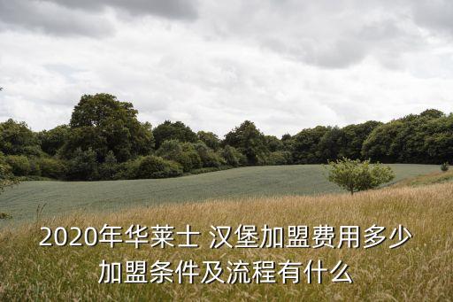 2020年华莱士 汉堡加盟费用多少加盟条件及流程有什么