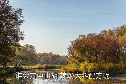 济宁辣汤代理加盟费多少